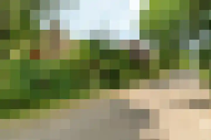 Wolterbeekweg 15 Oosterbeek thumbnail 60