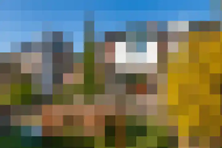 Wolterinkhofstraat 3 Bathmen thumbnail 30