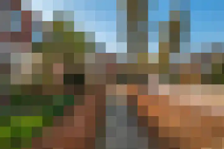 Wolterinkhofstraat 3 Bathmen thumbnail 37