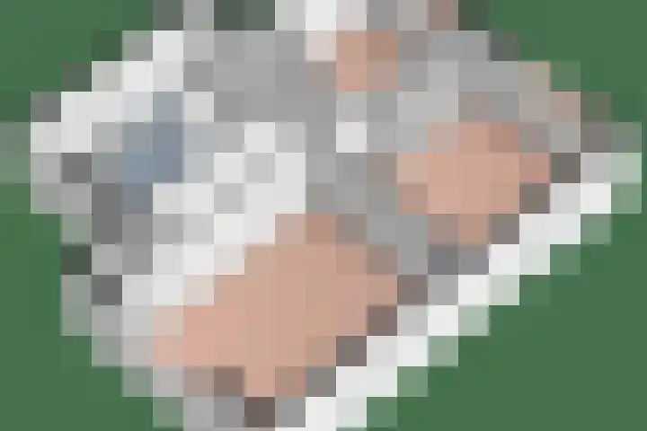 Wolterinkhofstraat 3 Bathmen thumbnail 47