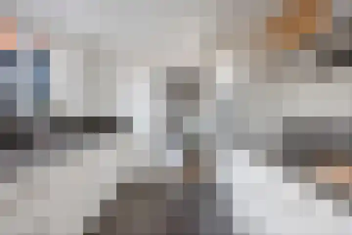 Wolterinkhofstraat 39 Bathmen thumbnail 10