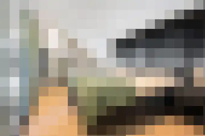 Wolterinkhofstraat 39 Bathmen thumbnail 20