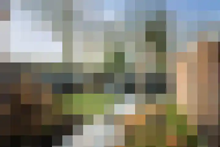 Wolterinkhofstraat 39 Bathmen thumbnail 27