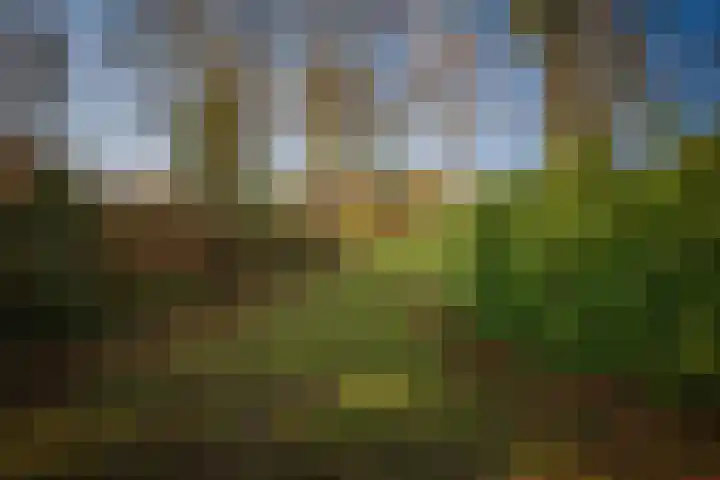 Wolterinkhofstraat 39 Bathmen thumbnail 34