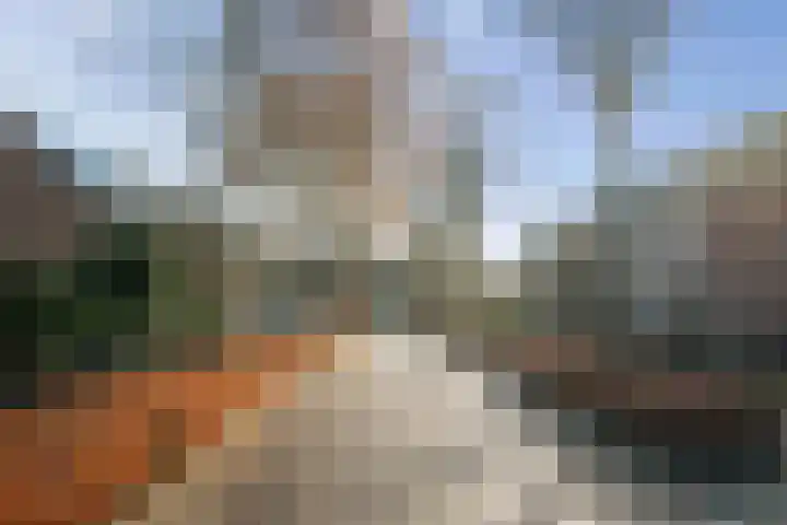 Wolterinkhofstraat 39 Bathmen thumbnail 37