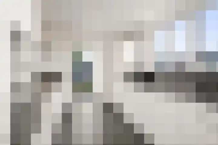 Wolterinkhofstraat 39 Bathmen thumbnail 8
