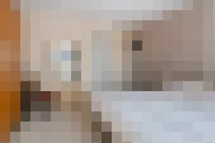 Wolterinkhofstraat 7 Bathmen thumbnail 16