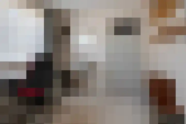 Wolterinkhofstraat 7 Bathmen thumbnail 18