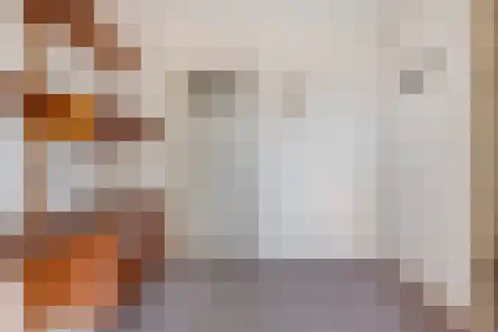 Wolterinkhofstraat 7 Bathmen thumbnail 20