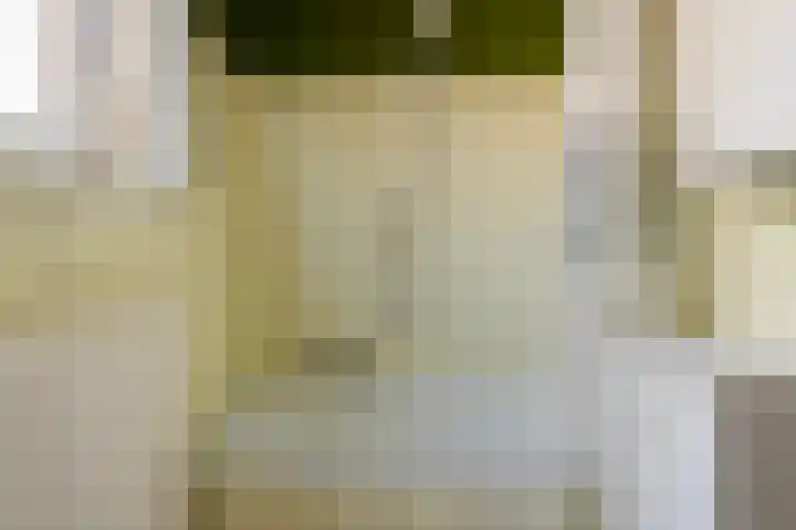 Wolterinkhofstraat 7 Bathmen thumbnail 22