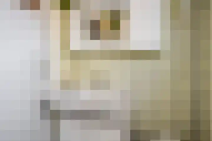 Wolterinkhofstraat 7 Bathmen thumbnail 24