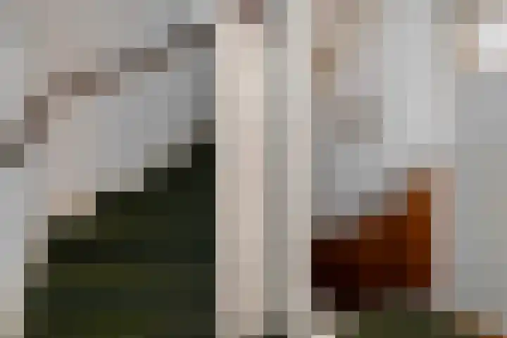 Wolterinkhofstraat 7 Bathmen thumbnail 25