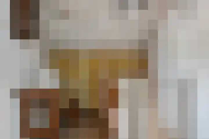 Wolterinkhofstraat 7 Bathmen thumbnail 27