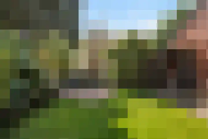 Wolterinkhofstraat 7 Bathmen thumbnail 31