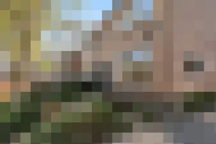 Wolterinkhofstraat 7 Bathmen thumbnail 35