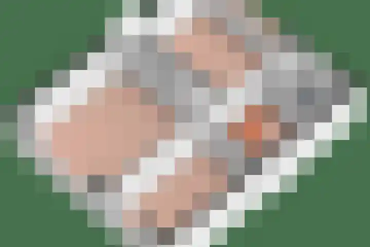 Wolterinkhofstraat 7 Bathmen thumbnail 41