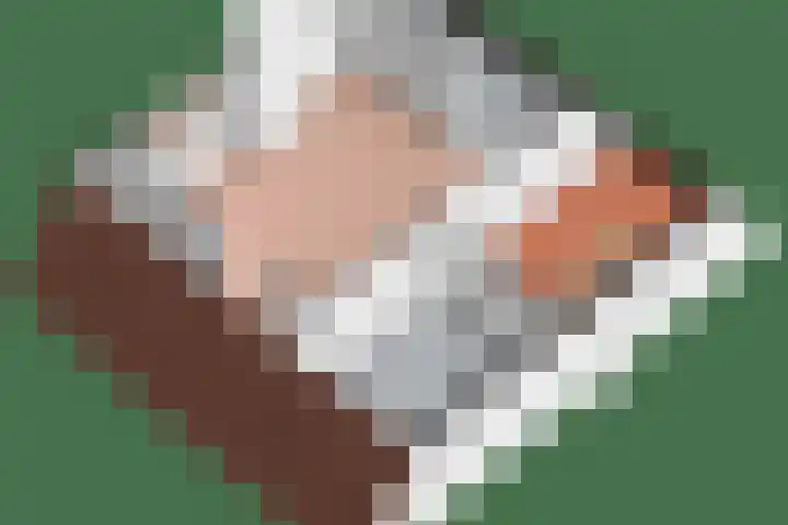 Wolterinkhofstraat 7 Bathmen thumbnail 42