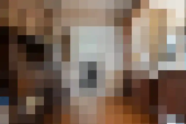 Wolterinkhofstraat 7 Bathmen thumbnail 7