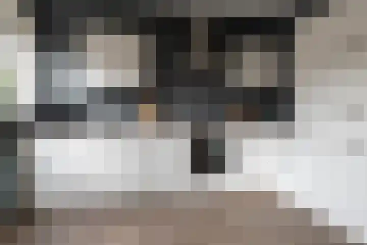 Wolterinksweg 73 Haarle thumbnail 11