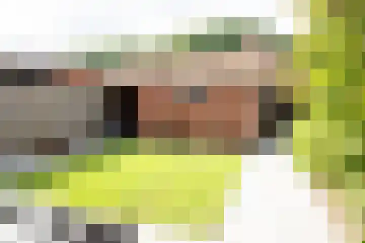 Wolterinksweg 73 Haarle thumbnail 26