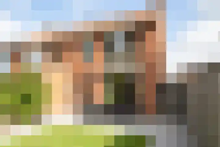 Wolterinksweg 73 Haarle thumbnail 28