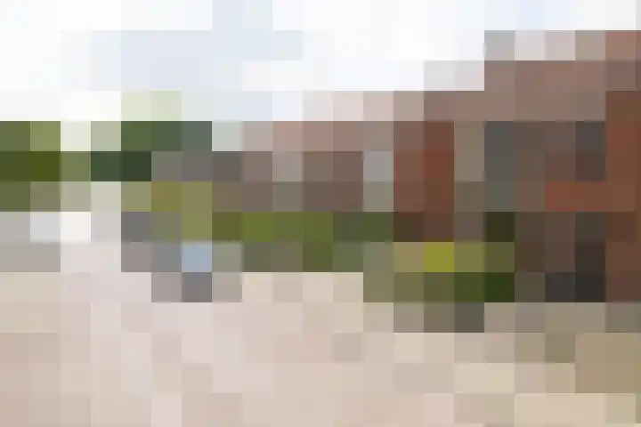 Wolterinksweg 73 Haarle thumbnail 34