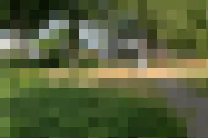 Wolterinksweg 73 Haarle thumbnail 36
