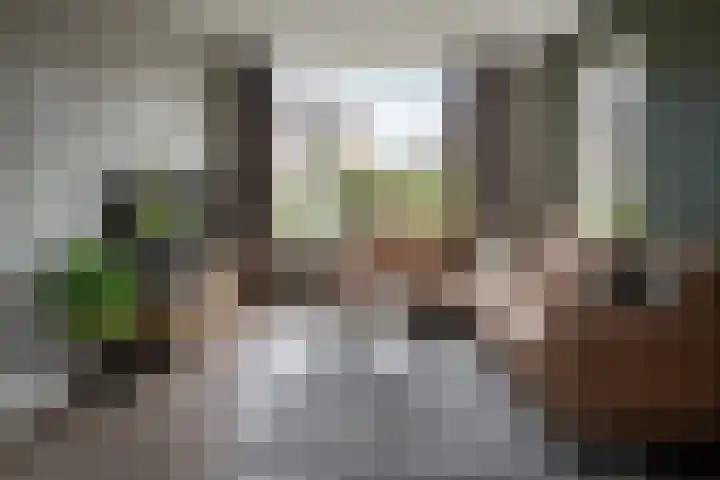 Wolterinksweg 73 Haarle thumbnail 4