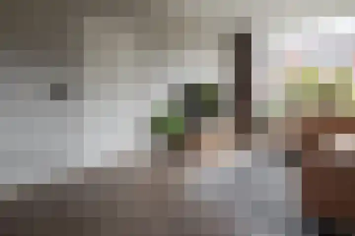 Wolterinksweg 73 Haarle thumbnail 6