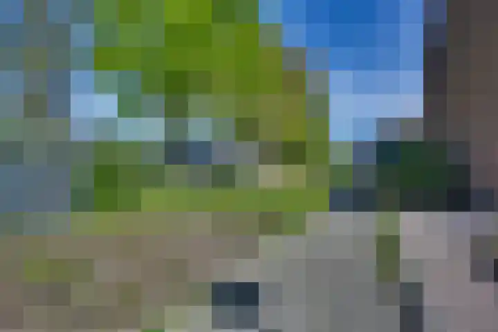 Wolterinksweg 81 Haarle thumbnail 36