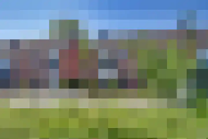 Wolterinksweg 81 Haarle thumbnail 4