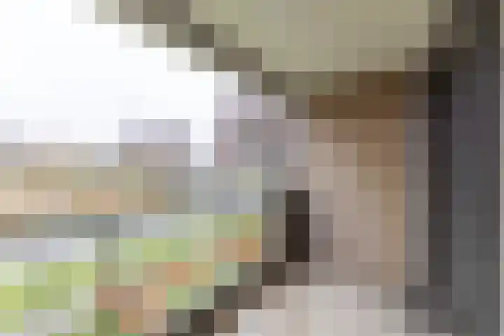 Woltersweg 128 Hengelo thumbnail 33