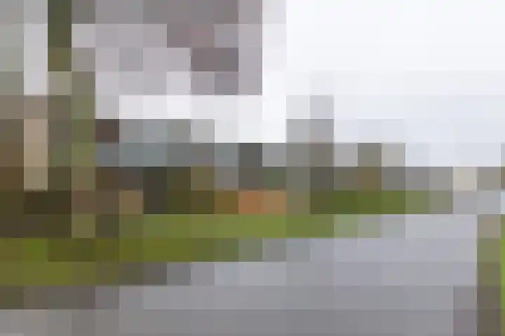 Woltersweg 128 Hengelo thumbnail 4