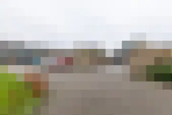 Woltersweg 128 Hengelo thumbnail 41