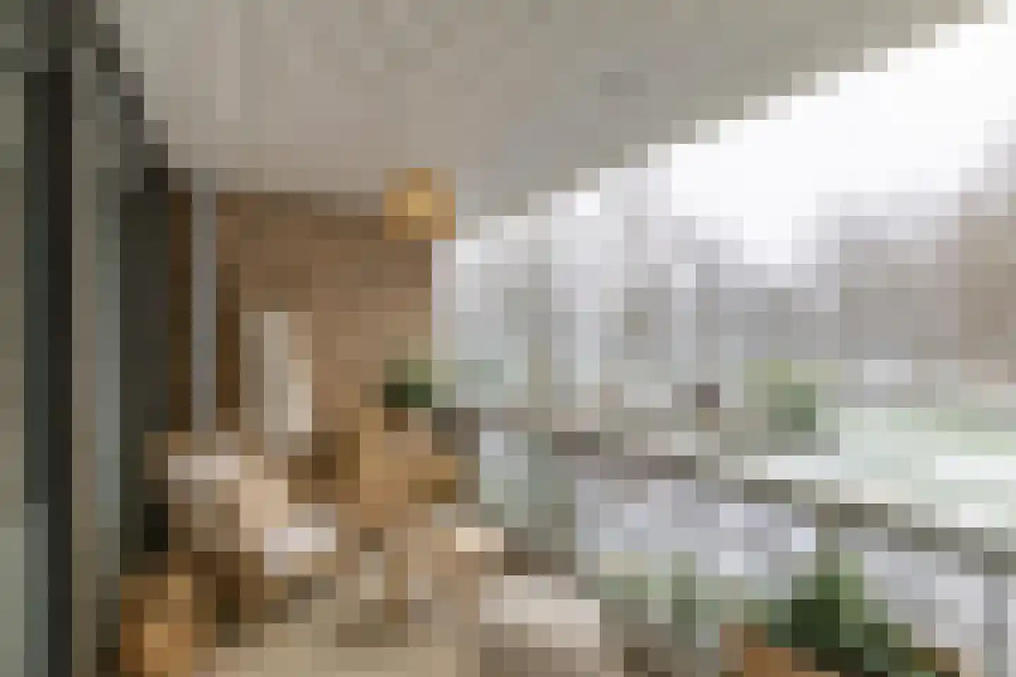 Woltersweg 174 Hengelo thumbnail 34