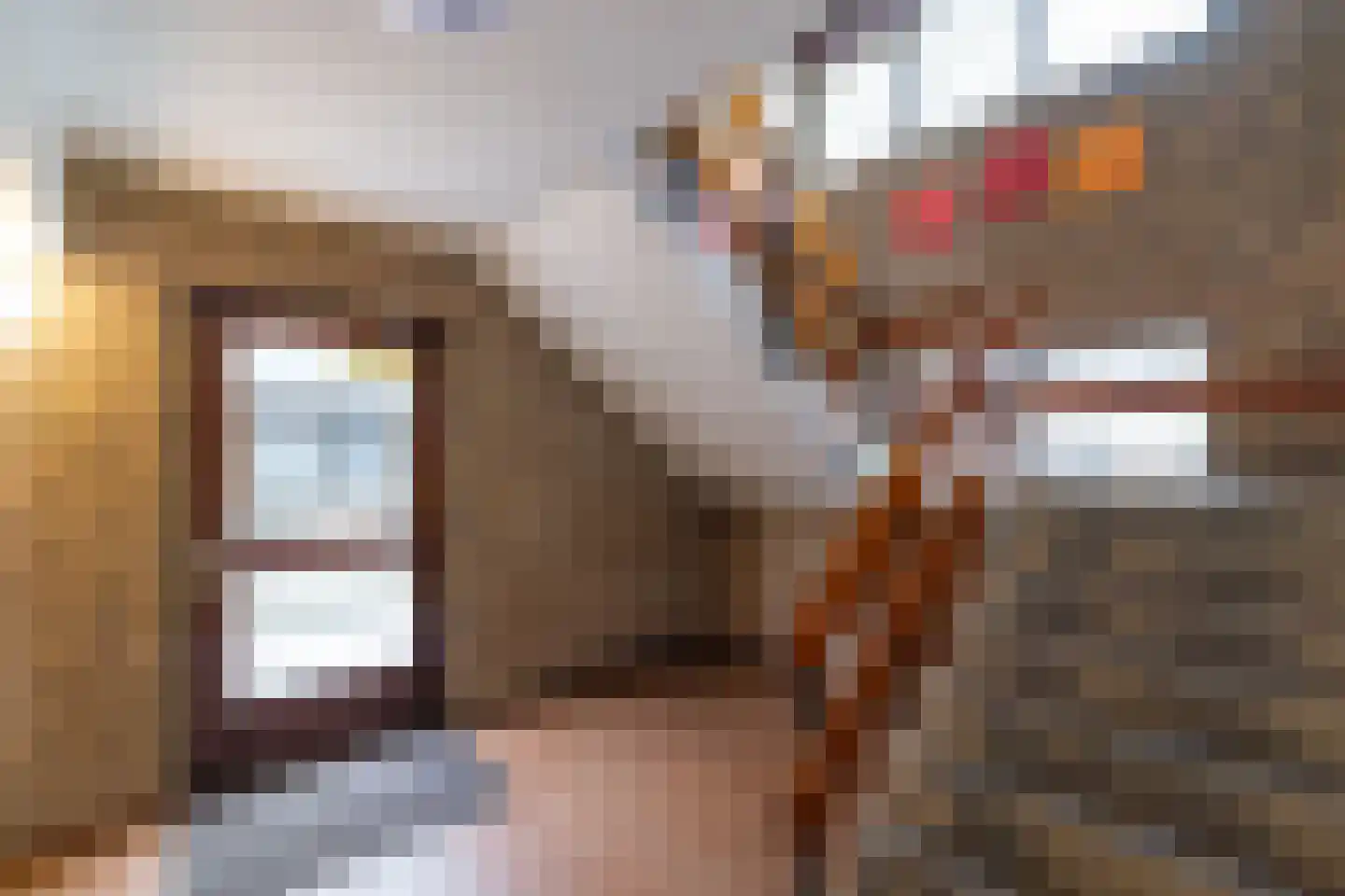 Woltersweg 174 Hengelo thumbnail 38