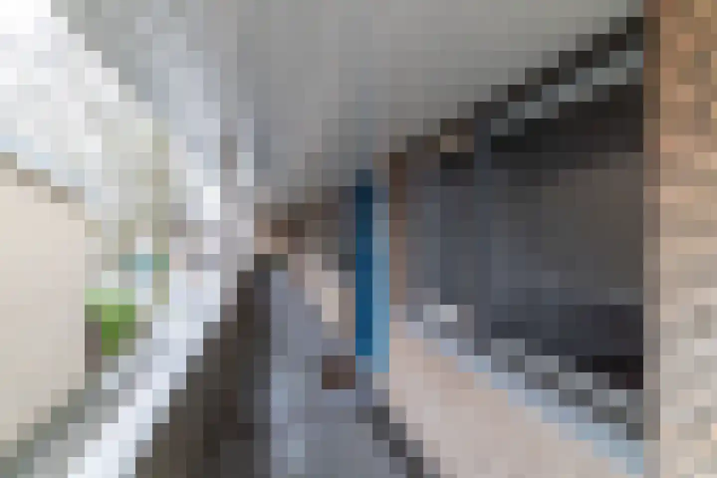 Woltersweg 174 Hengelo thumbnail 41