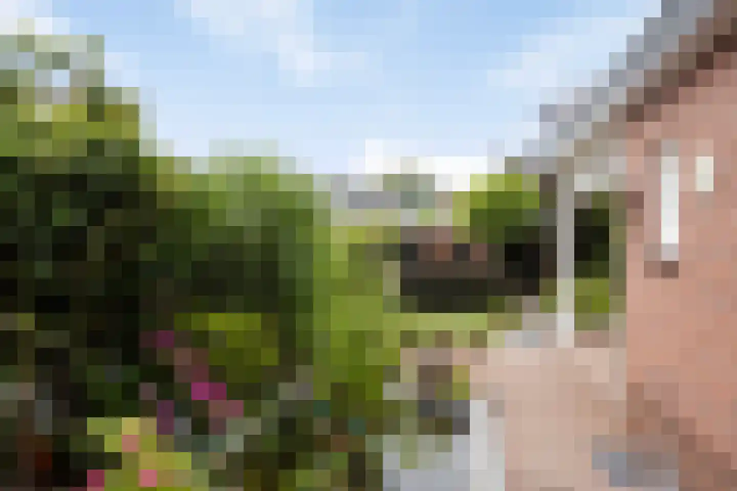 Woltersweg 50 Hengelo thumbnail 31