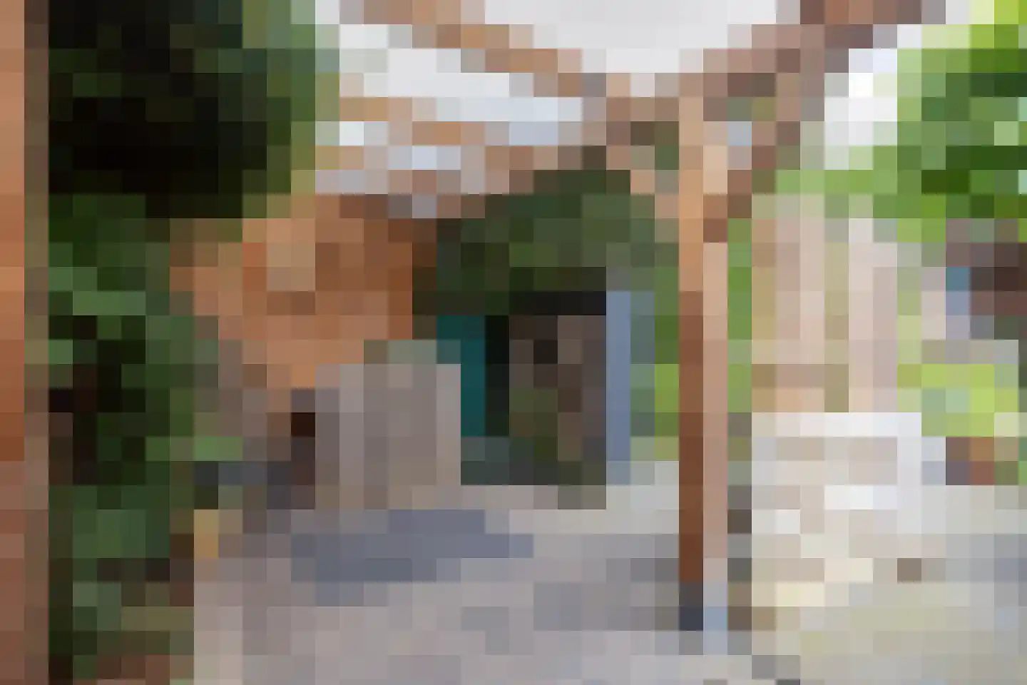 Woltersweg 50 Hengelo thumbnail 41