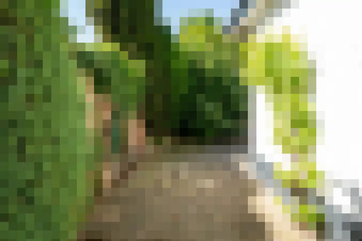 Woltersweg 86 Hengelo thumbnail 25