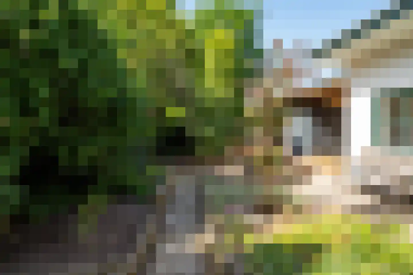 Woltersweg 86 Hengelo thumbnail 28