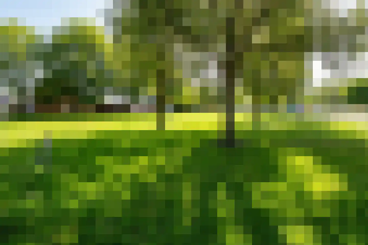 Woltersweg 86 Hengelo thumbnail 47