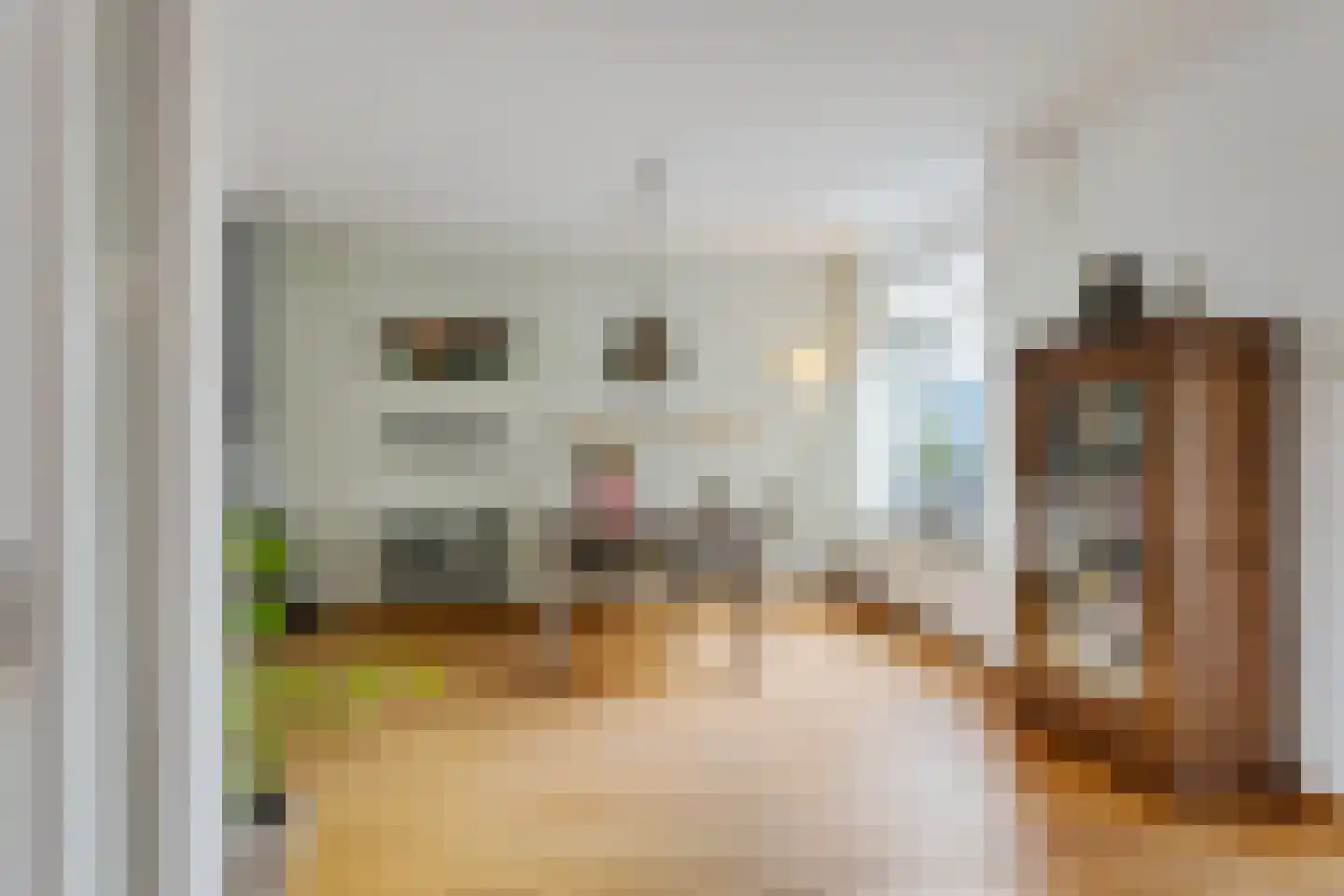 Woltersweg 90 Hengelo thumbnail 11