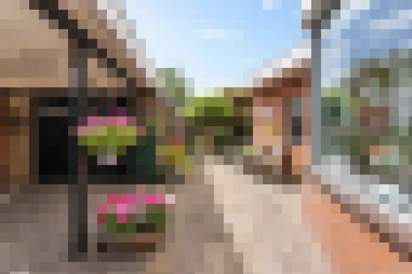 Woltersweg 90 Hengelo thumbnail 36