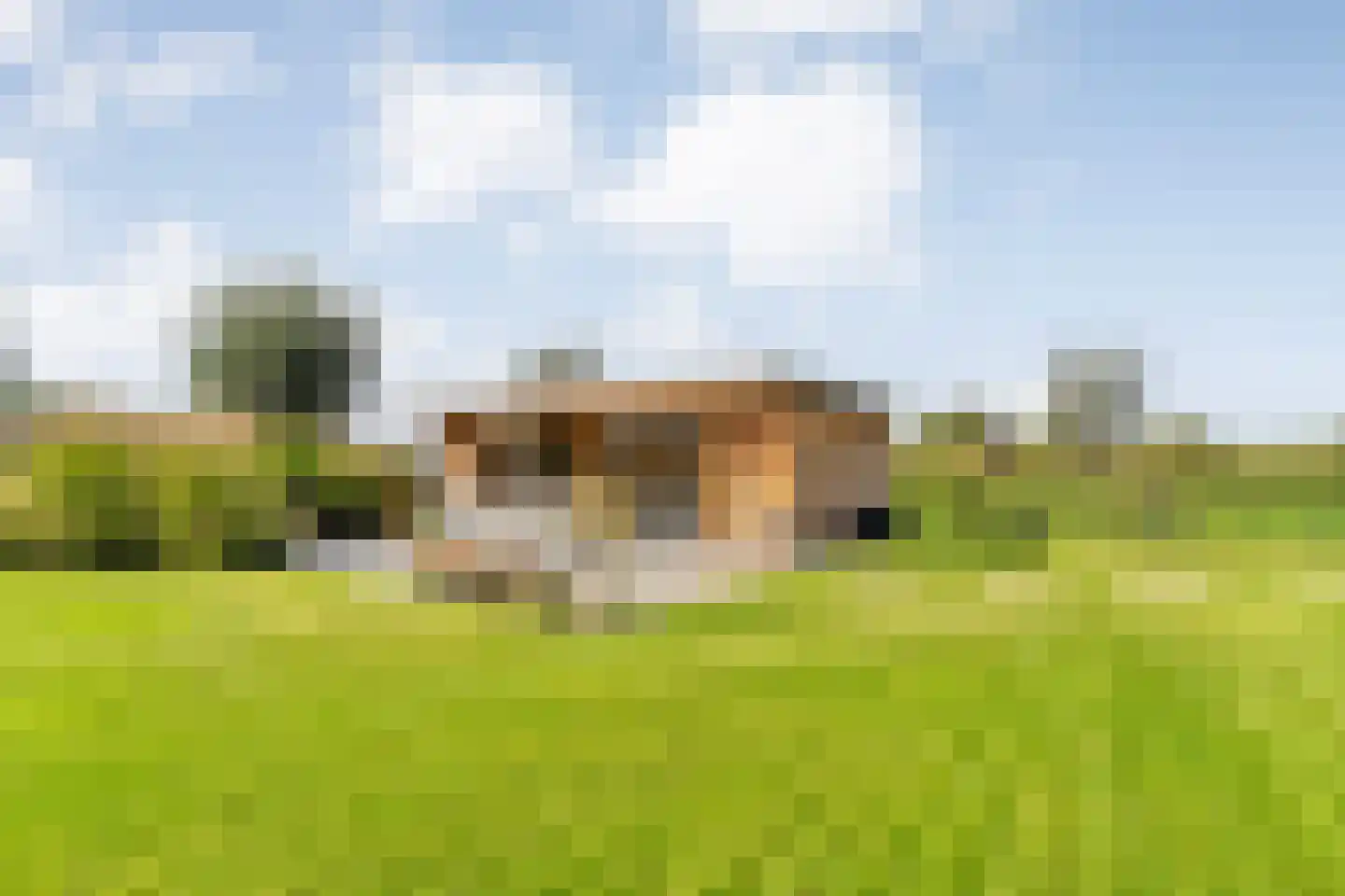 Wolthaarsdijk WZ 27 Raalte thumbnail 108