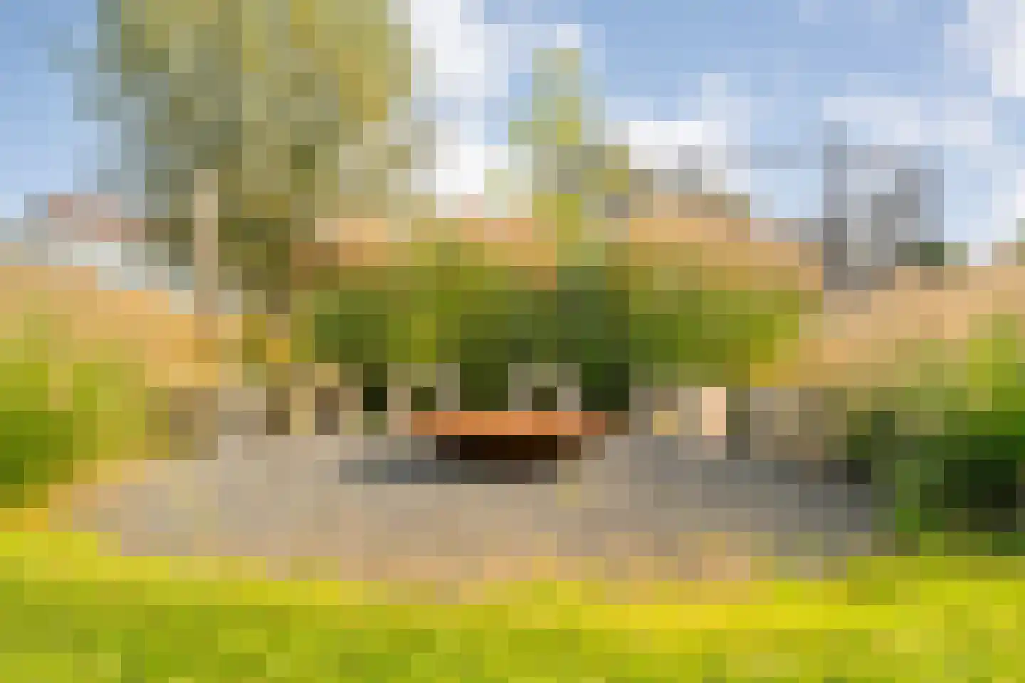 Wolthaarsdijk WZ 27 Raalte thumbnail 111