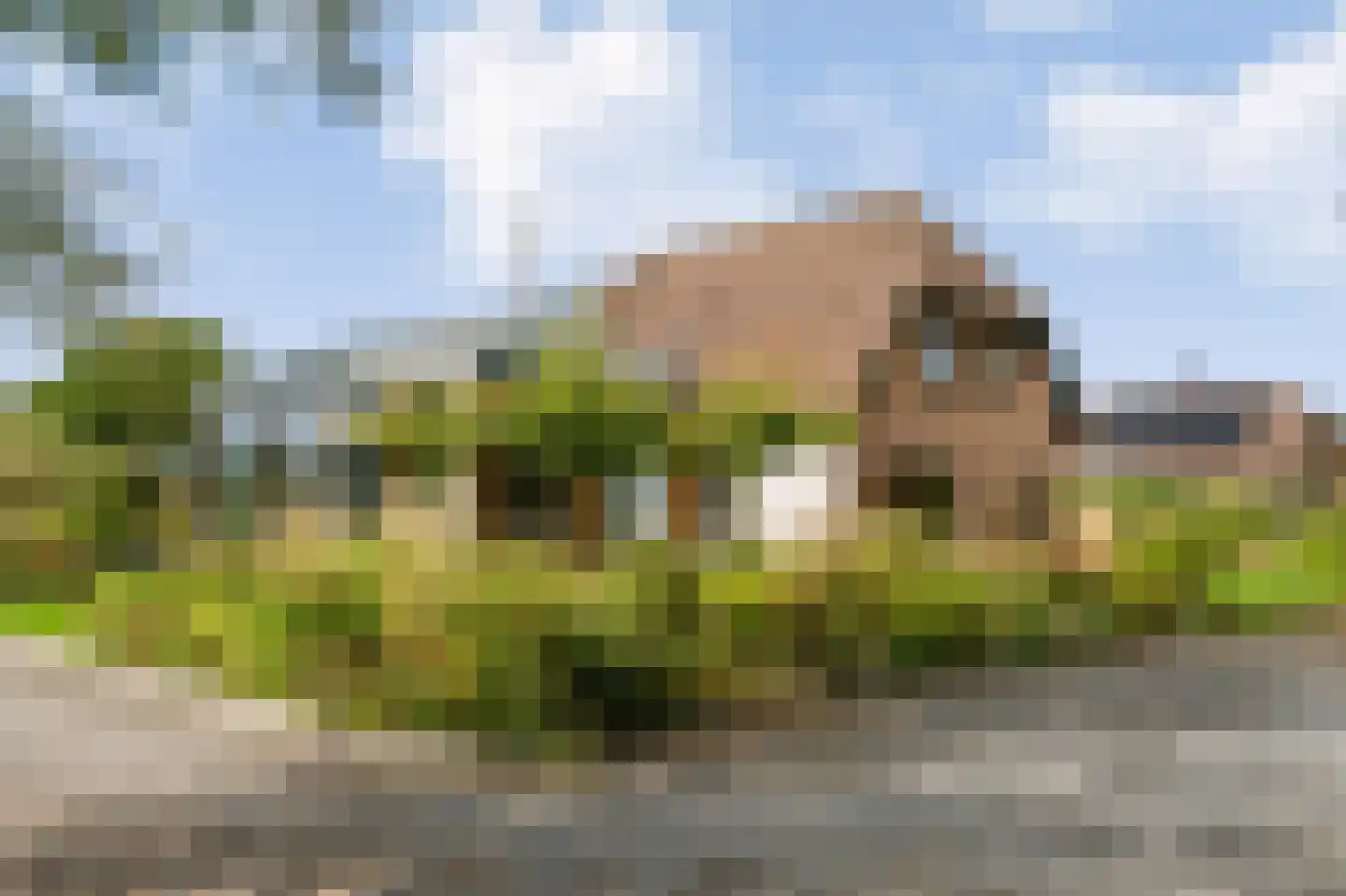 Wolthaarsdijk WZ 27 Raalte thumbnail 16