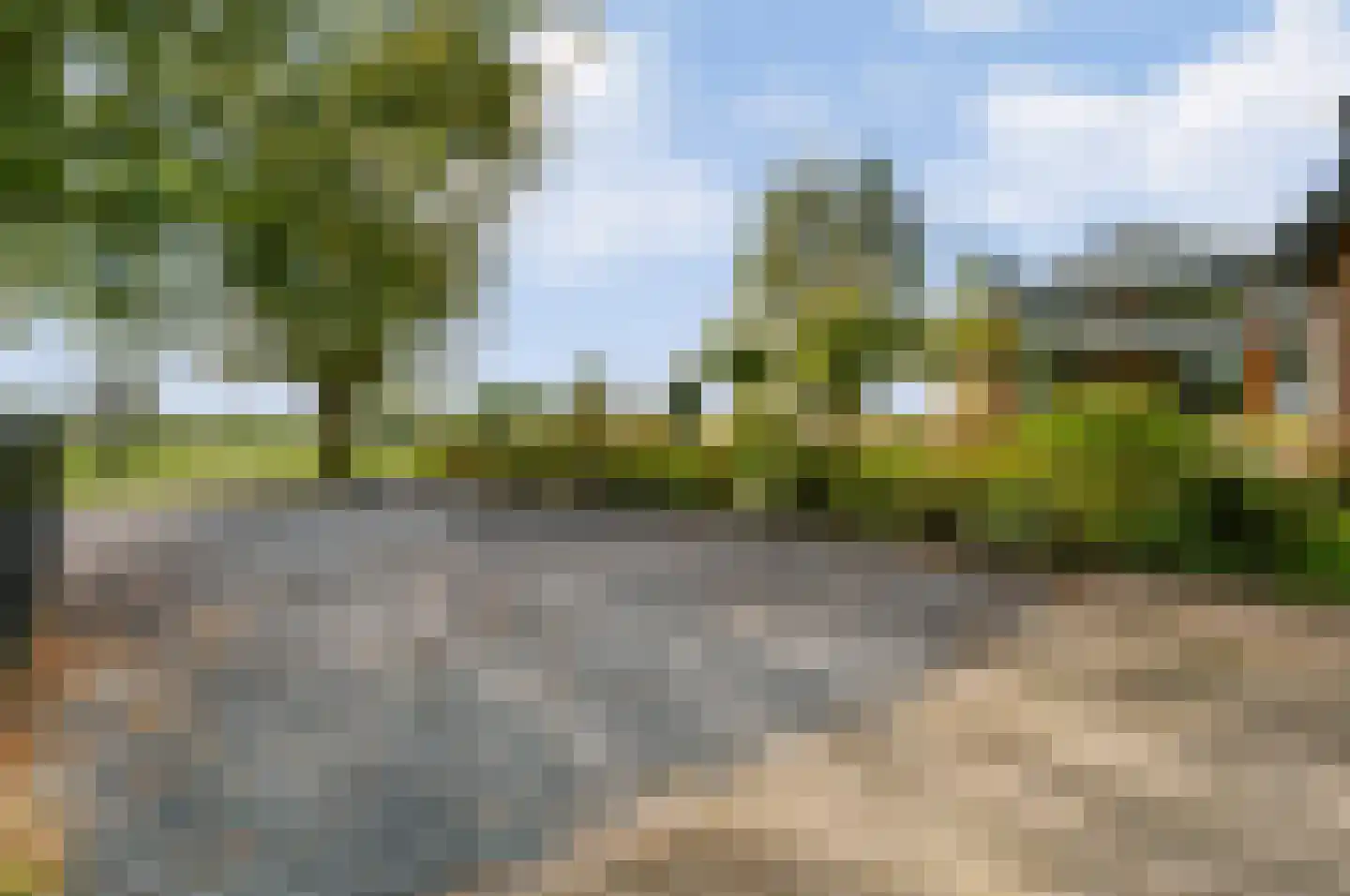 Wolthaarsdijk WZ 27 Raalte thumbnail 18