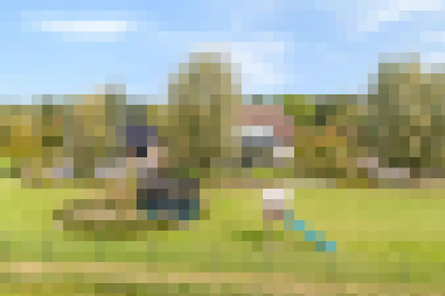 Wolthaarsdijk WZ 27 Raalte thumbnail 20