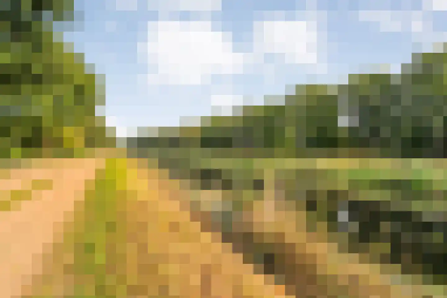 Wolthaarsdijk WZ 27 Raalte thumbnail 23